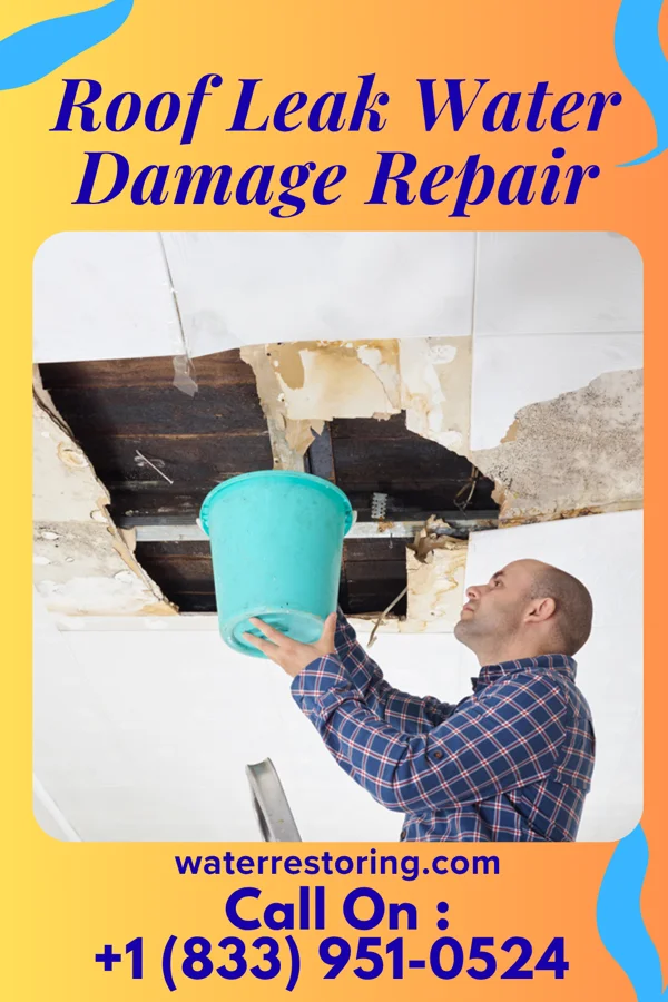 Roof Leak Water Damage Repair in Walnut Grove, GA